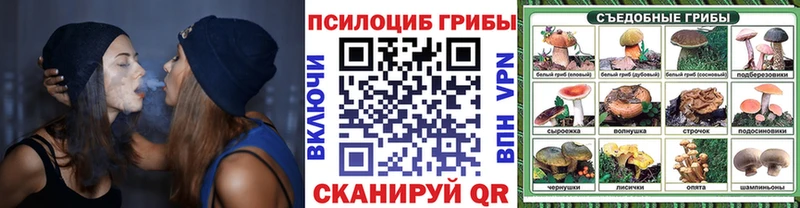 kraken Петухово площадка Telegram Галлюциногенные грибы Magic Shrooms